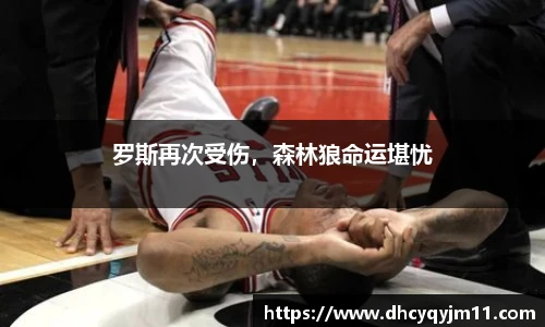 球王会官网