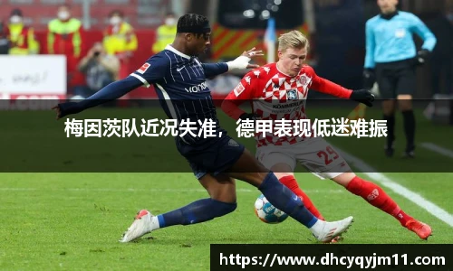 球王会体育